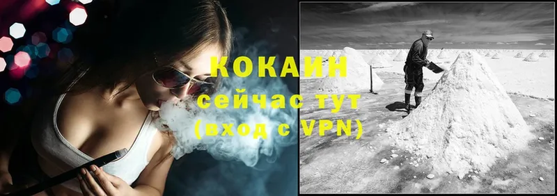 дарнет шоп  Куса  COCAIN Эквадор 